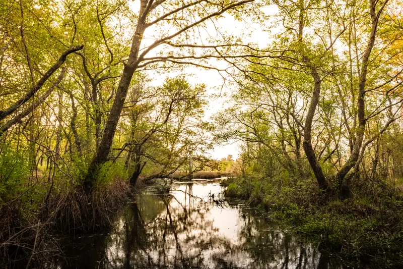 Marais poitevin